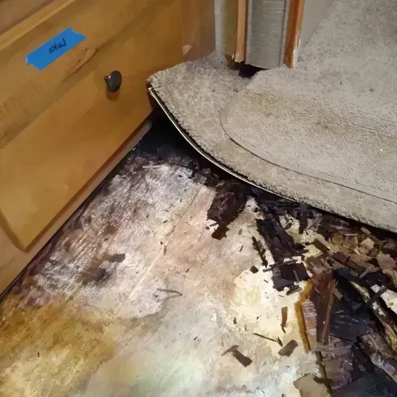 Wood Floor Water Damage in Newburg, WI